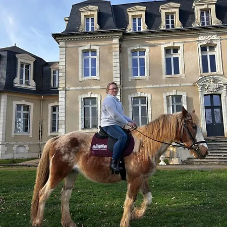 Bien Etre Du Chateau De La Bouchatte * Chazemais