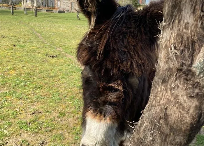 Bien Etre Du Chateau De La Bouchatte
