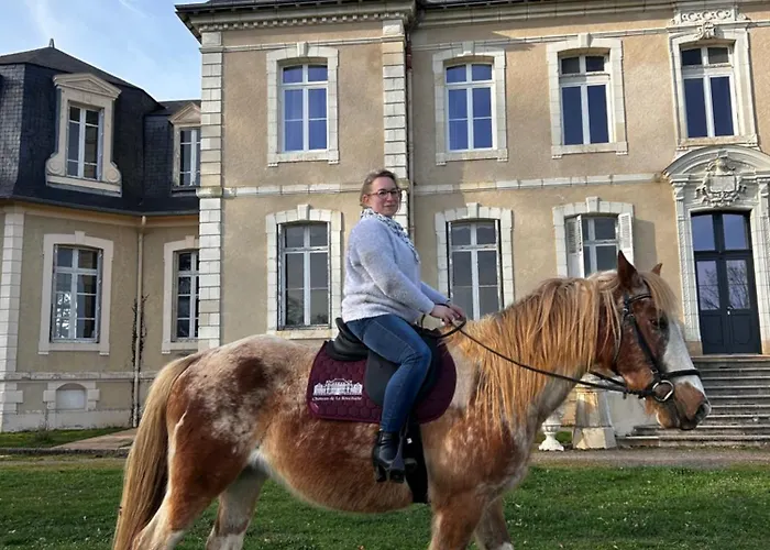 Bien Etre Du Chateau De La Bouchatte * Chazemais